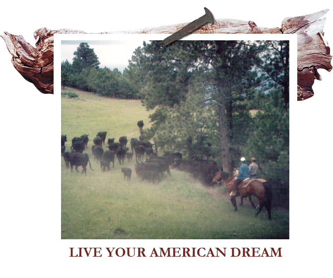 Live your American Dream