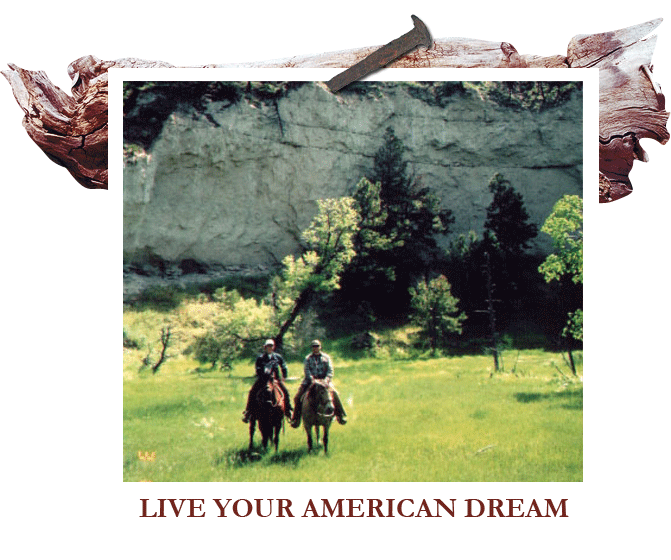 Live your American Dream